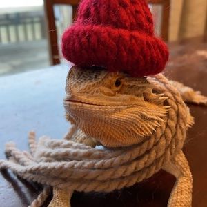 Meet your Posher, Sophee